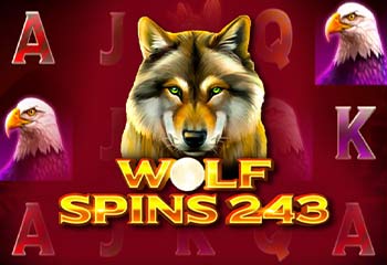 Wolf Spins 243